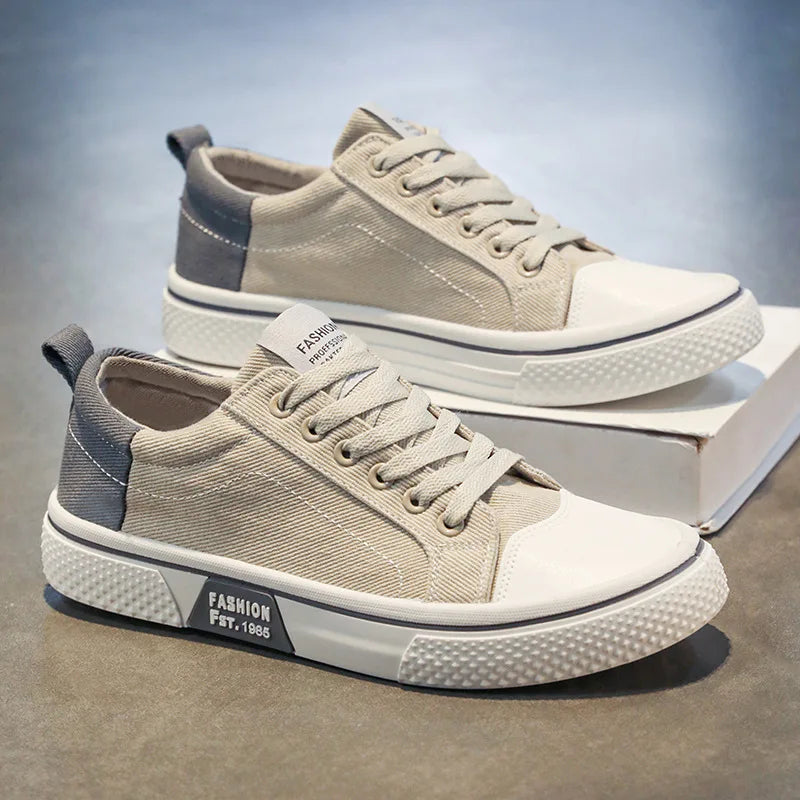 Beige / 46